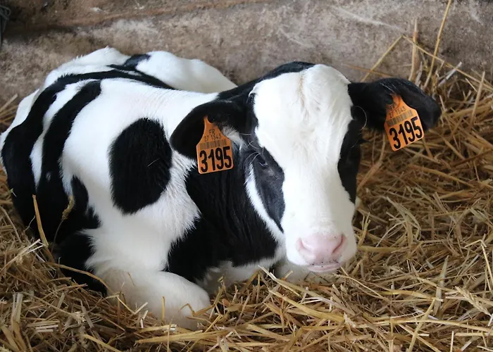 Le Thuit - F2 Plain Pied Tout Equipe A La Ferme