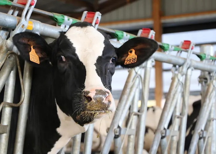 Le Thuit - F2 Plain Pied Tout Equipe A La Ferme