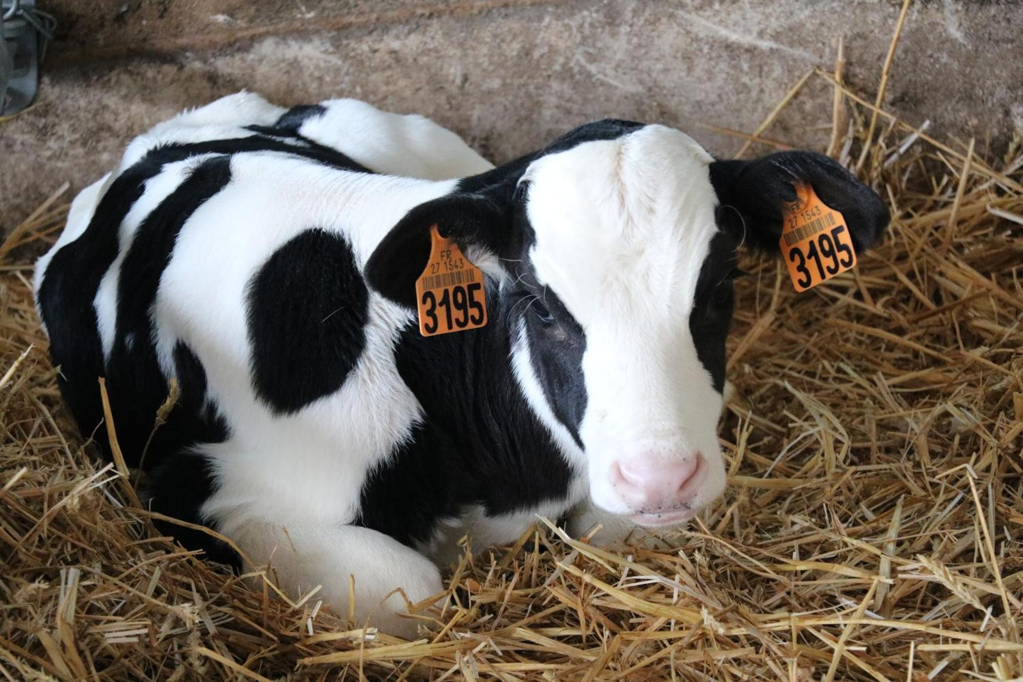 Le Thuit - F2 Plain Pied Equipe A La Ferme Farm stay *