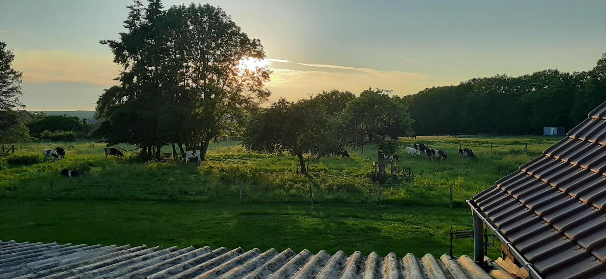 Le Thuit - F2 Plain Pied Equipe A La Ferme