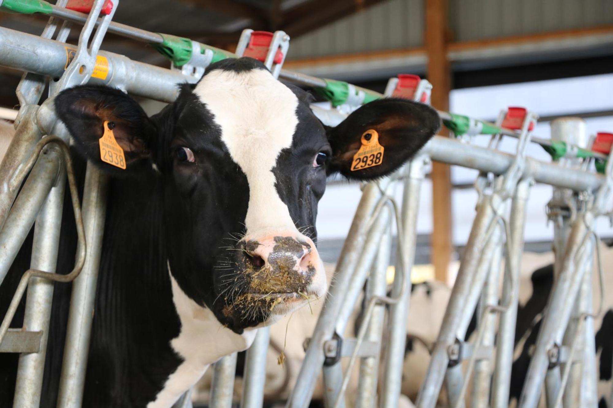 Le Thuit - F2 Plain Pied Equipe A La Ferme Farm stay Charleval (Eure)