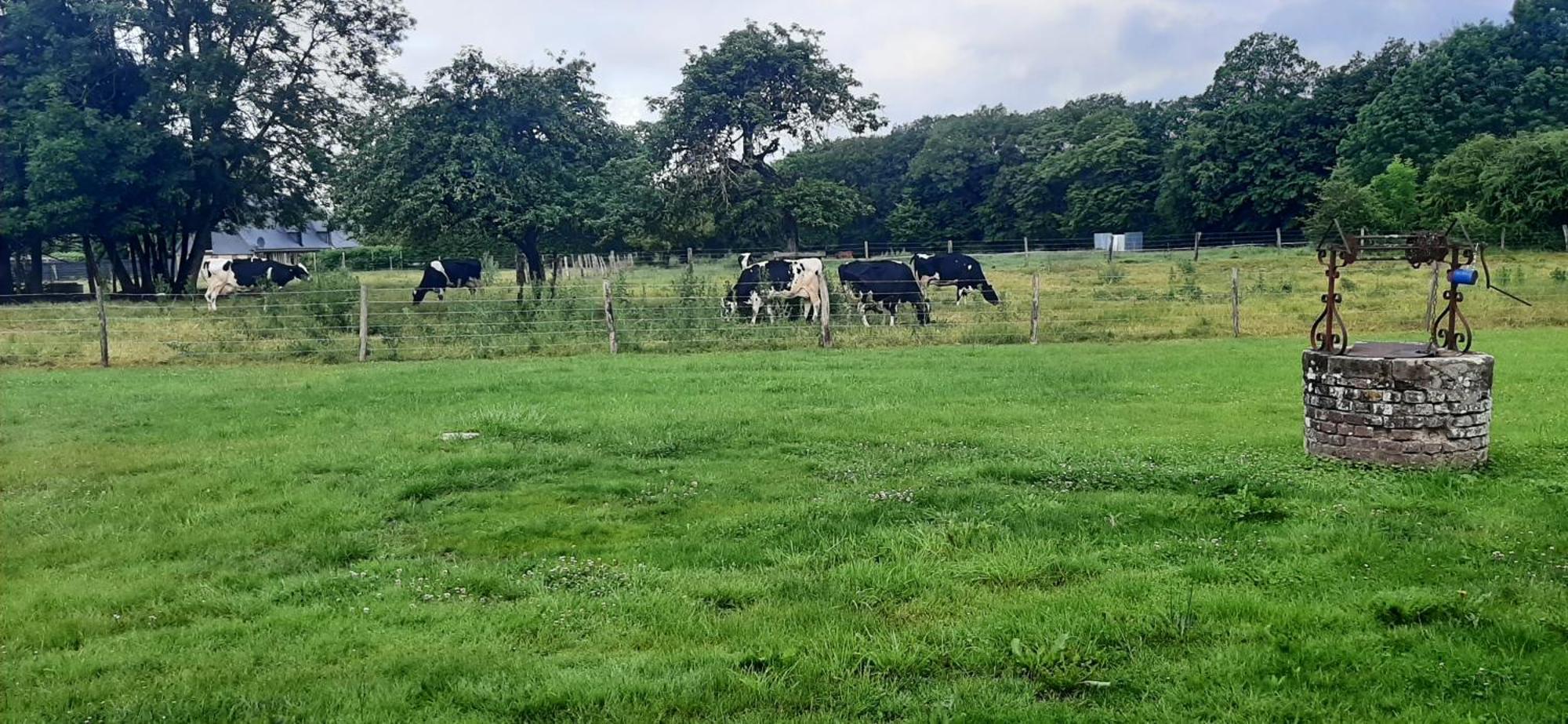 Le Thuit - F2 Plain Pied Equipe A La Ferme Farm stay Charleval (Eure)